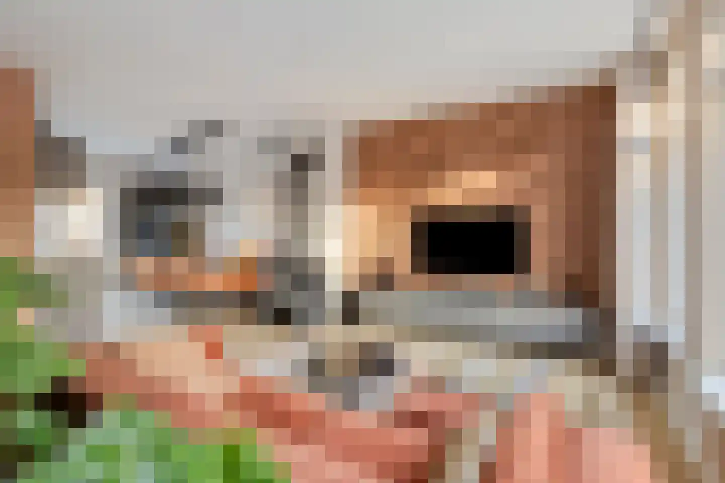van Coehoornplein 1 's-Hertogenbosch thumbnail 4