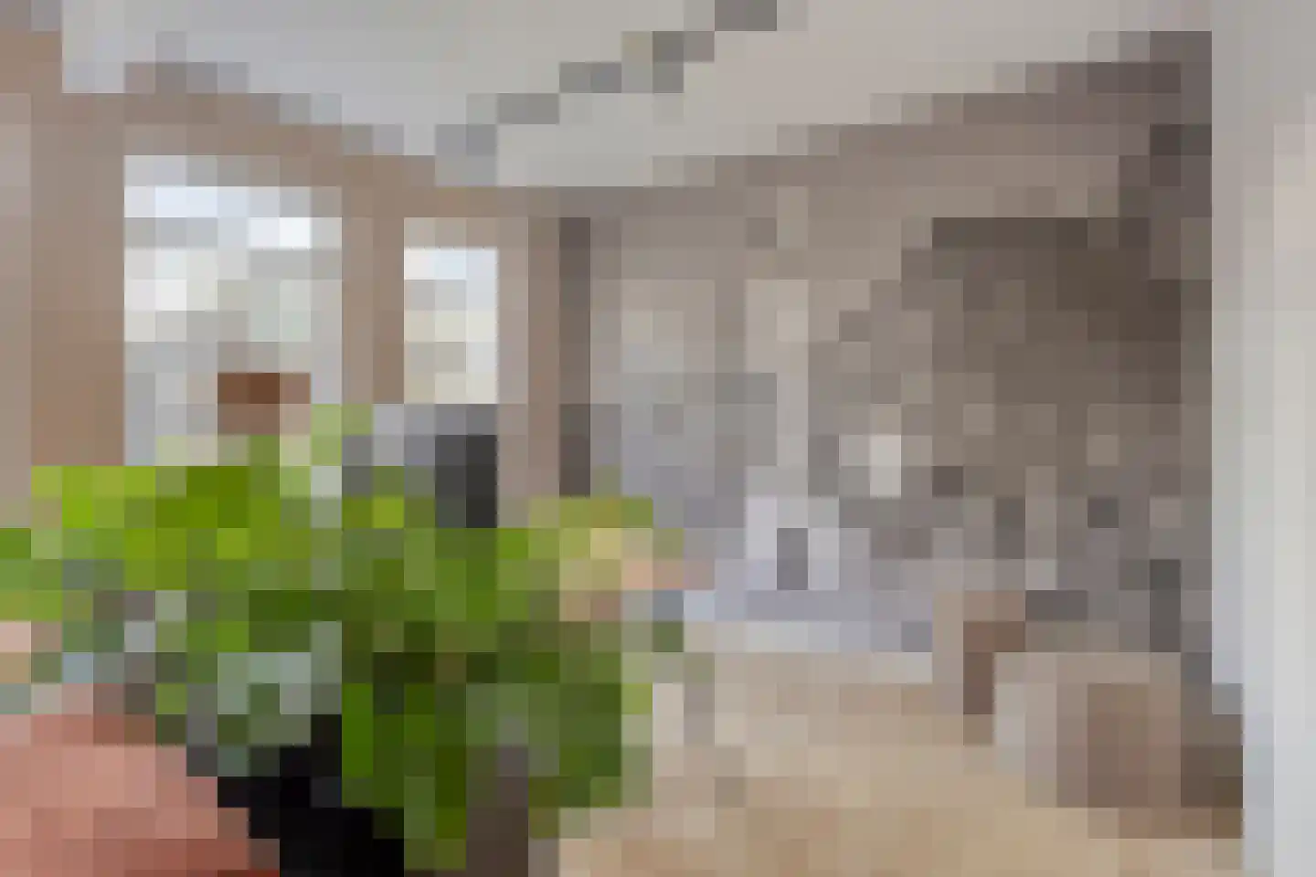 van Coehoornplein 1 's-Hertogenbosch thumbnail 5
