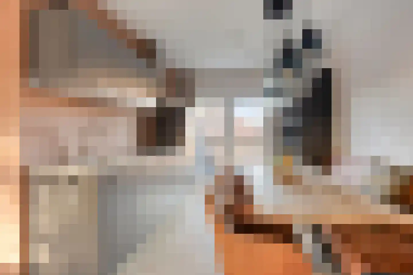 van Coehoornplein 1 's-Hertogenbosch thumbnail 9