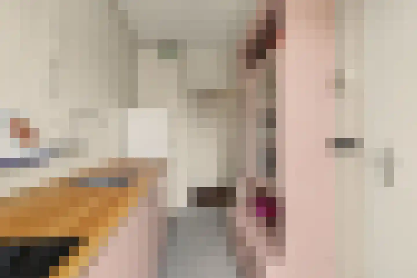 van Coehoornplein 15 's-Hertogenbosch thumbnail 11