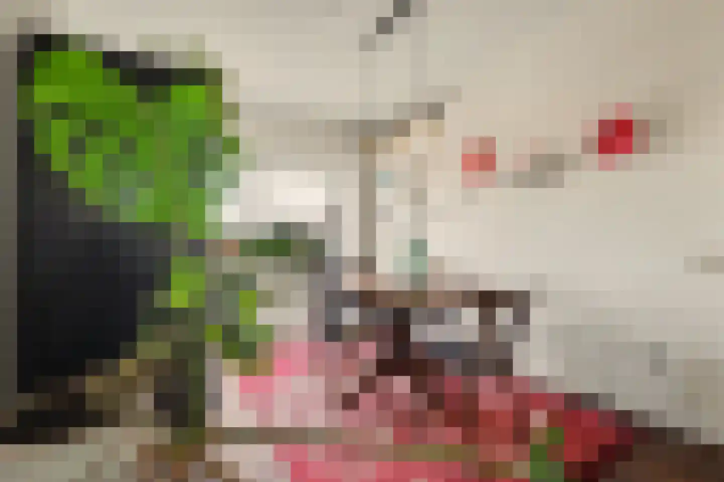 van Coehoornplein 15 's-Hertogenbosch thumbnail 7