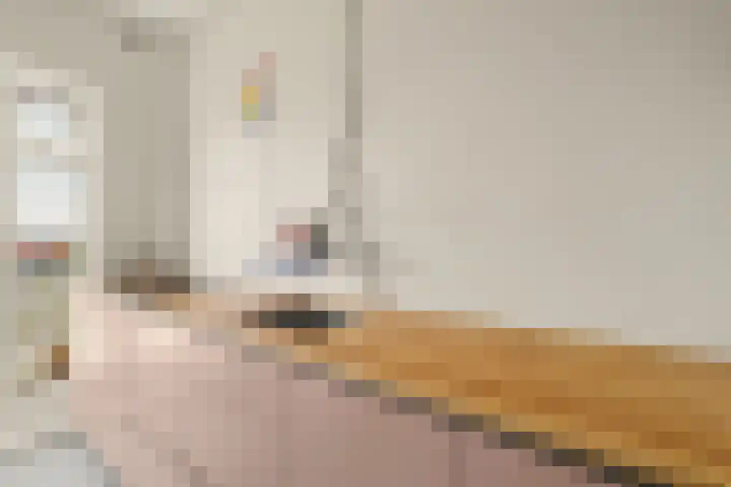 van Coehoornplein 15 's-Hertogenbosch thumbnail 9