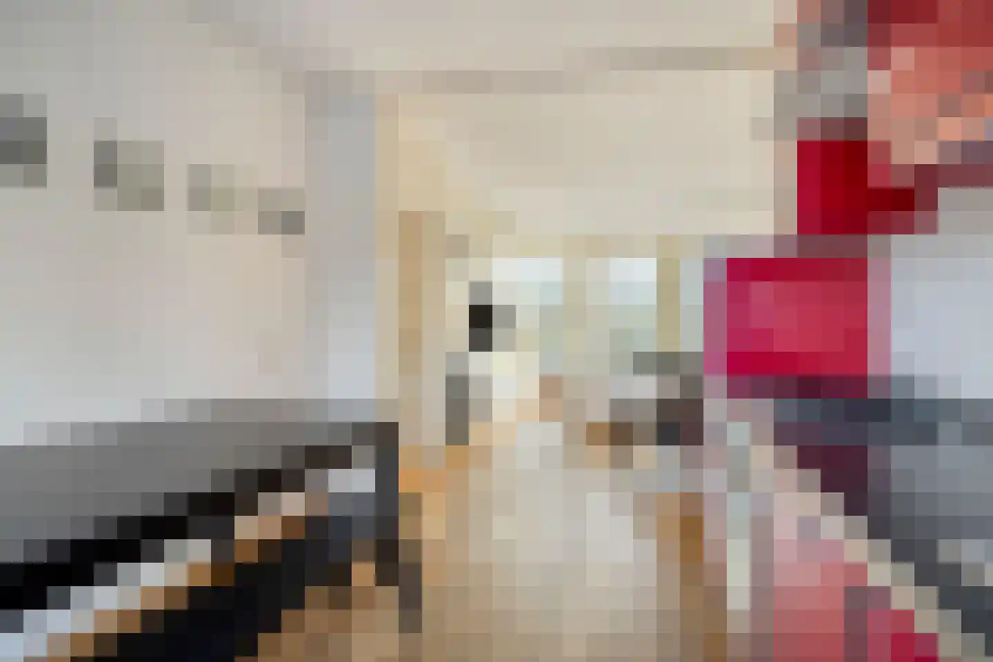 van Coehoornplein 20 's-Hertogenbosch thumbnail 12