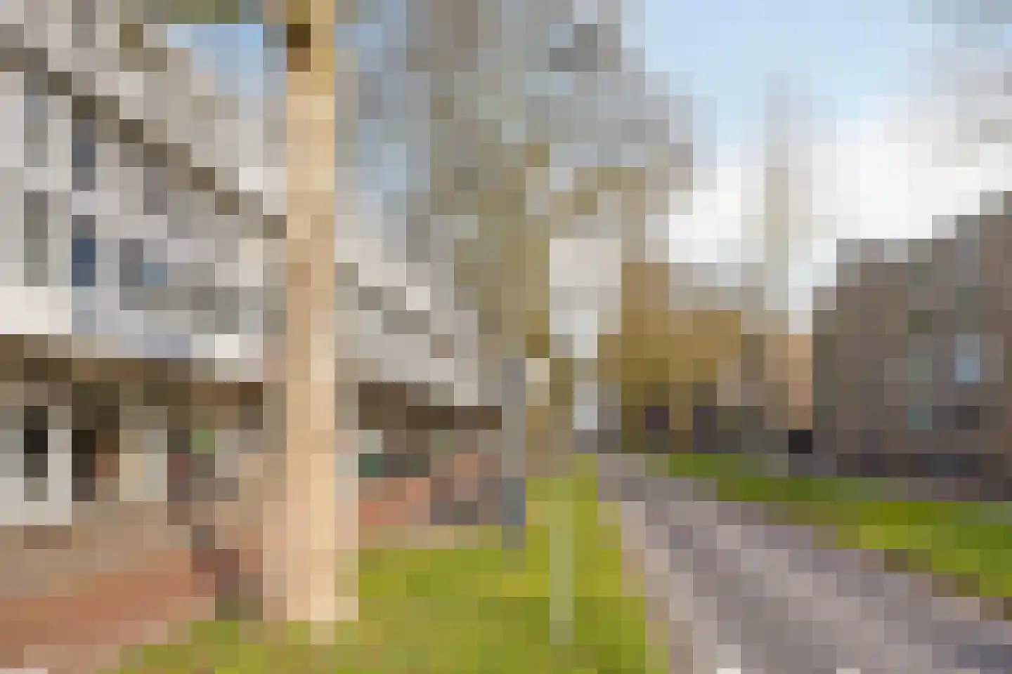 van Coehoornplein 20 's-Hertogenbosch thumbnail 19