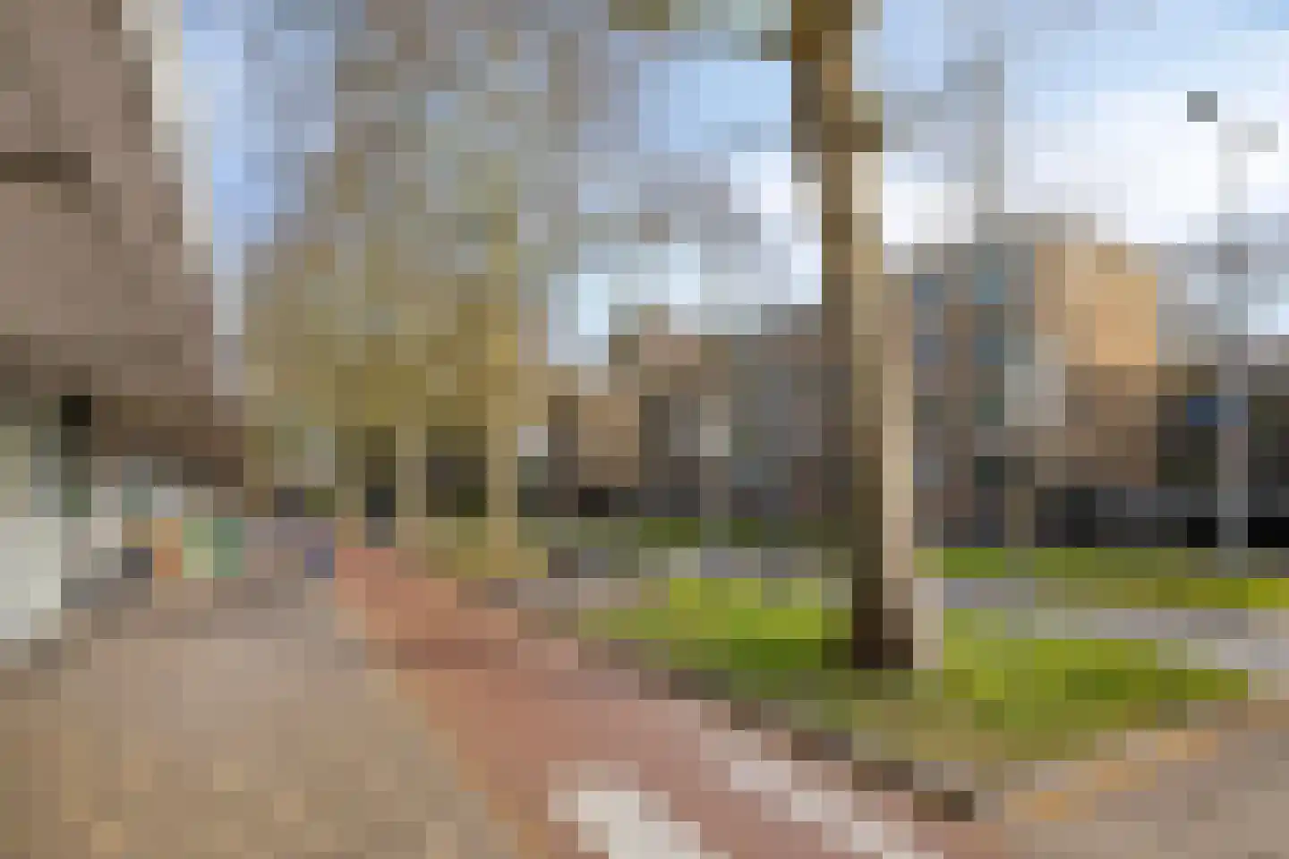 van Coehoornplein 20 's-Hertogenbosch thumbnail 20