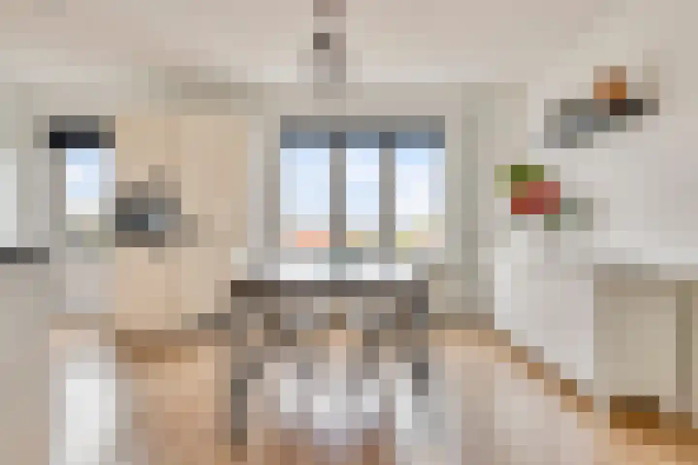 van Coehoornplein 3 's-Hertogenbosch thumbnail 9