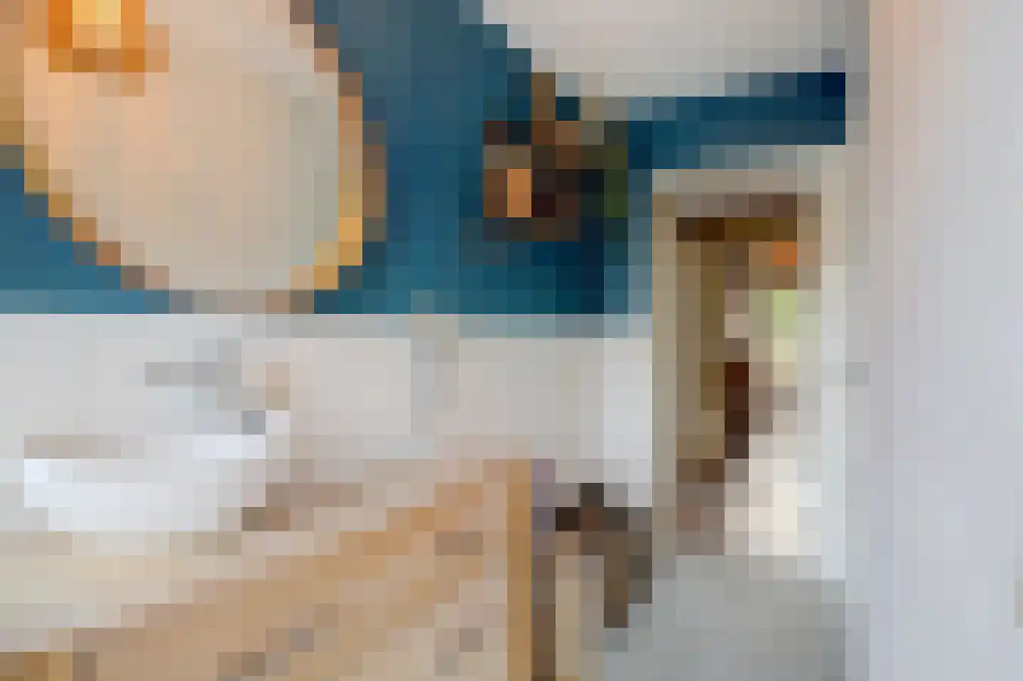 van Coehoornplein 31 's-Hertogenbosch thumbnail 18