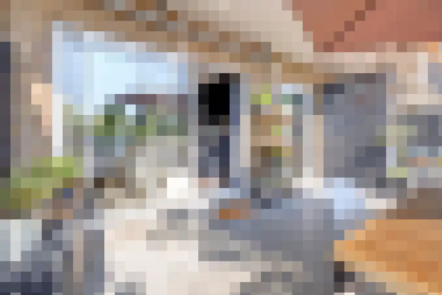 van Coehoornplein 31 's-Hertogenbosch thumbnail 22