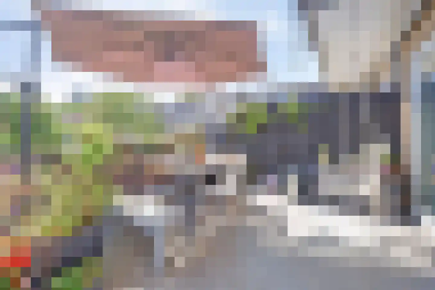 van Coehoornplein 31 's-Hertogenbosch thumbnail 23