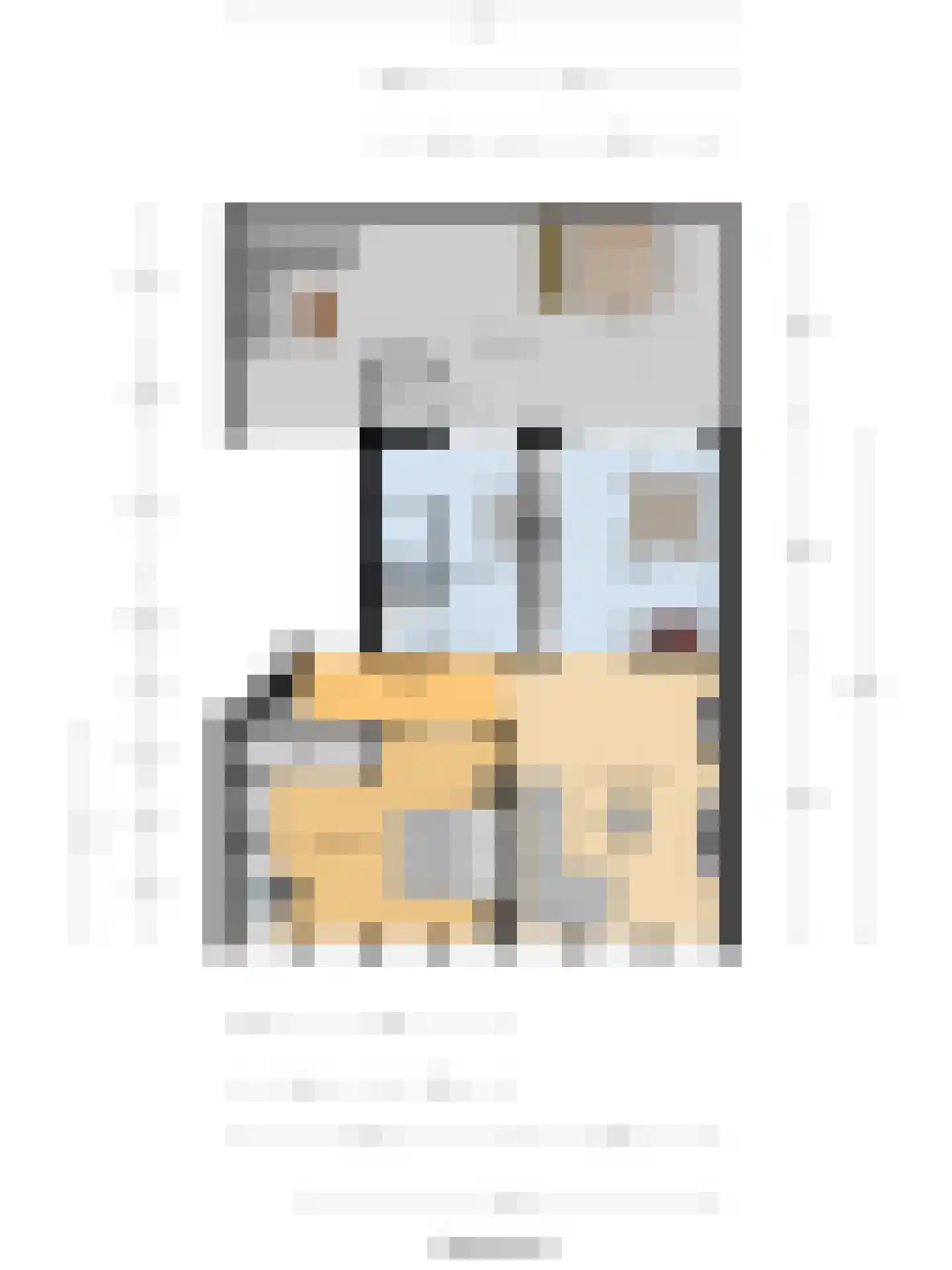 van Coehoornplein 31 's-Hertogenbosch thumbnail 32