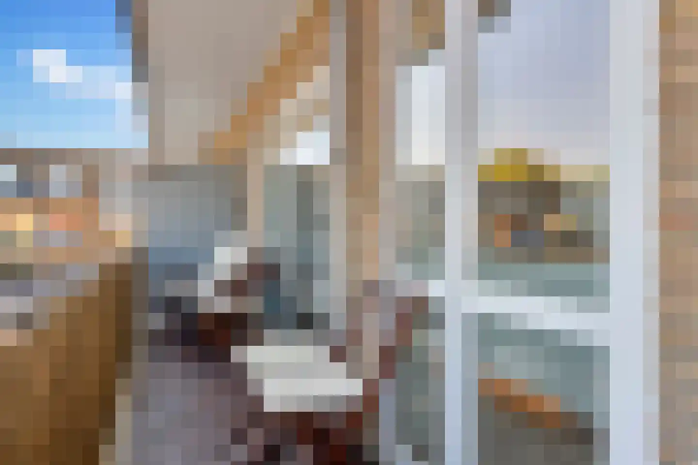 van Coehoornplein 32 's-Hertogenbosch thumbnail 13