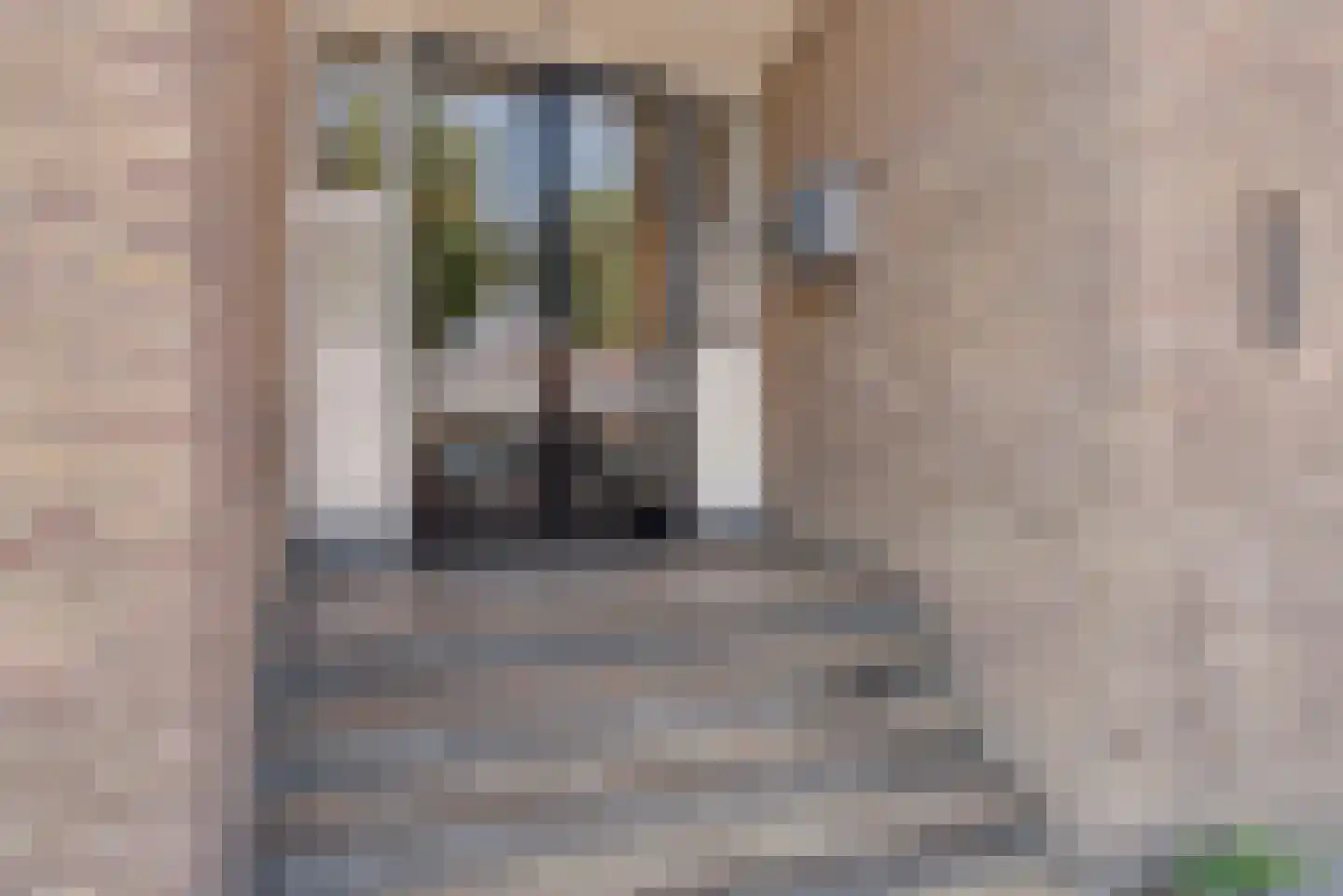 van Coehoornplein 32 's-Hertogenbosch thumbnail 26