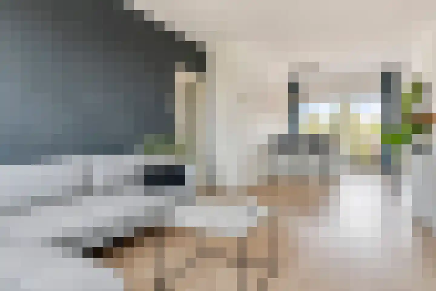 van Coehoornplein 32 's-Hertogenbosch thumbnail 4