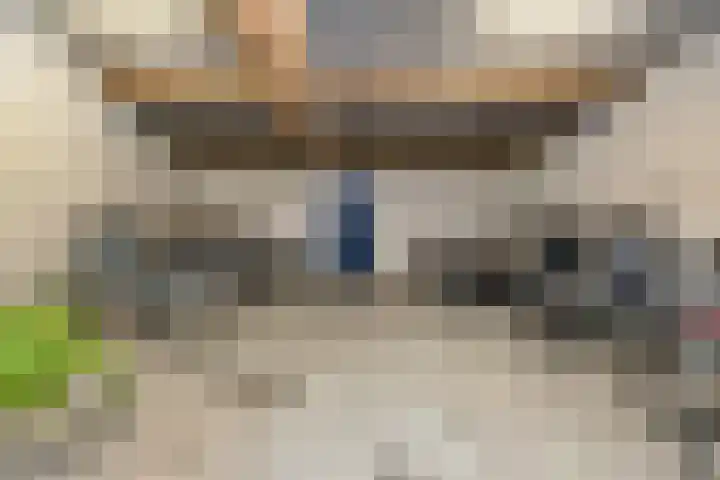 van Coehoornplein 38 's-Hertogenbosch thumbnail 39