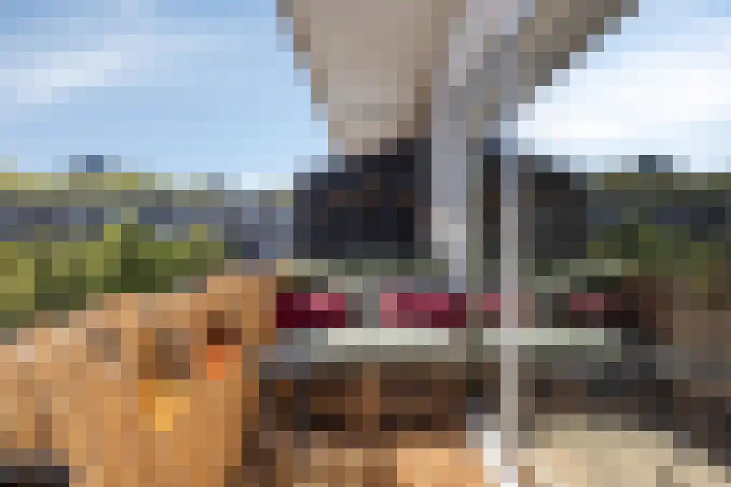 van Coehoornplein 44 's-Hertogenbosch thumbnail 10