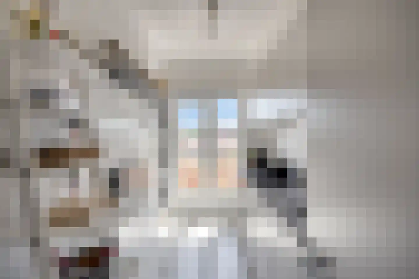 van Coehoornplein 44 's-Hertogenbosch thumbnail 13