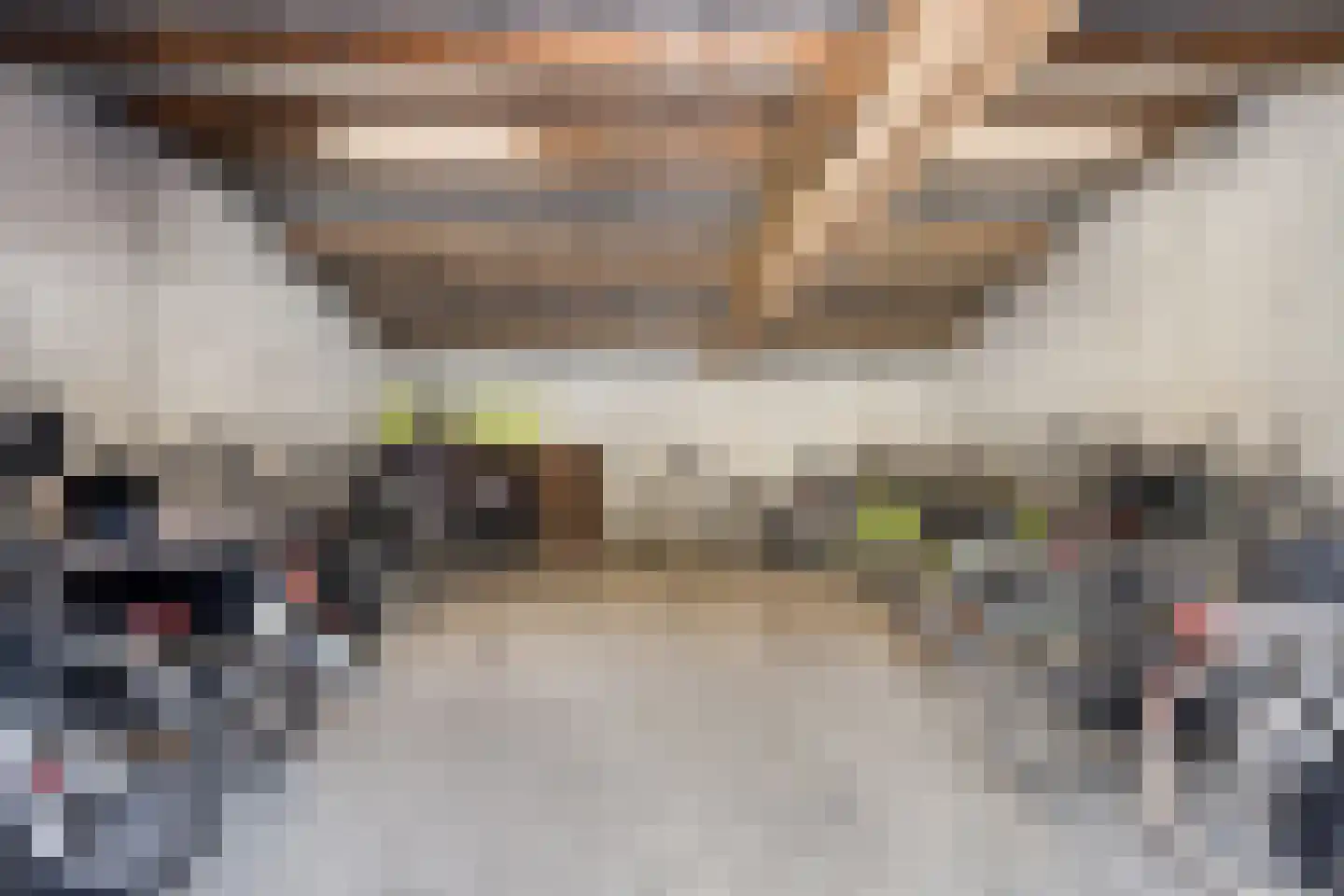 van Coehoornplein 44 's-Hertogenbosch thumbnail 29