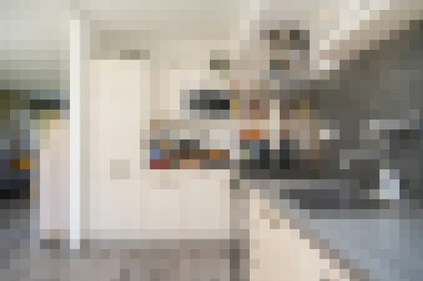 Van Coehoornstraat 10 Leerdam thumbnail 13