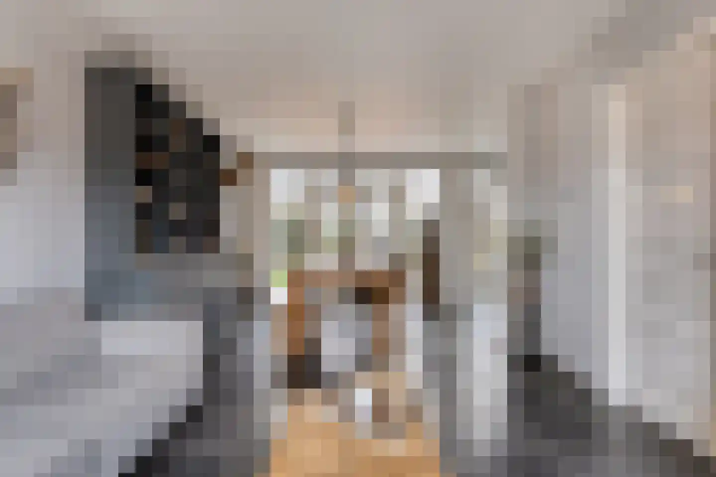 Van Coehoornstraat 18 Made thumbnail 12
