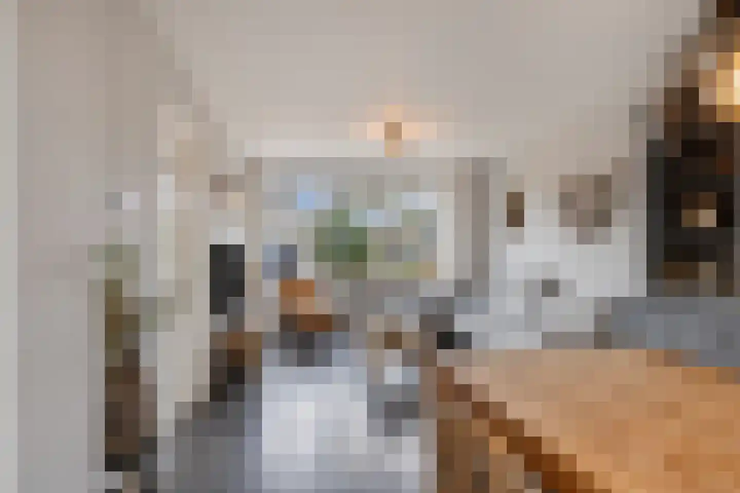 Van Coehoornstraat 18 Made thumbnail 15