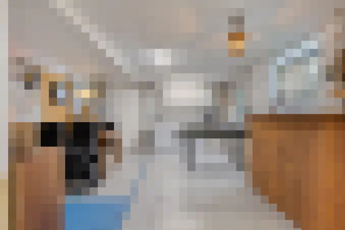 Van Coehoornstraat 18 Made thumbnail 40