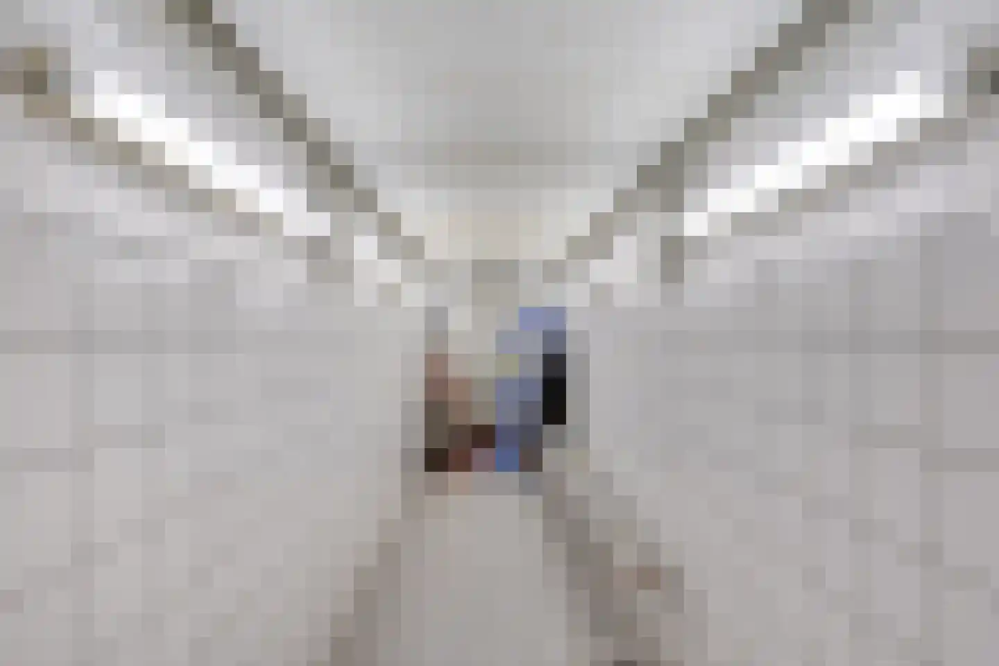 Van Coehoornstraat 18 Made thumbnail 42