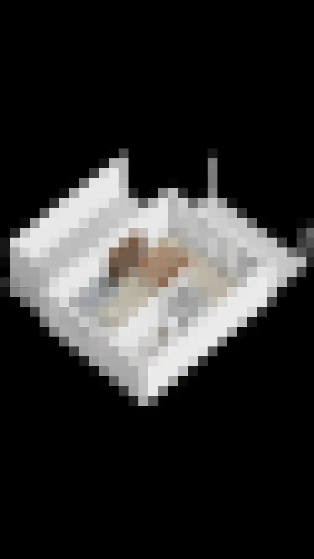 Van Coehoornstraat 18 Made thumbnail 53