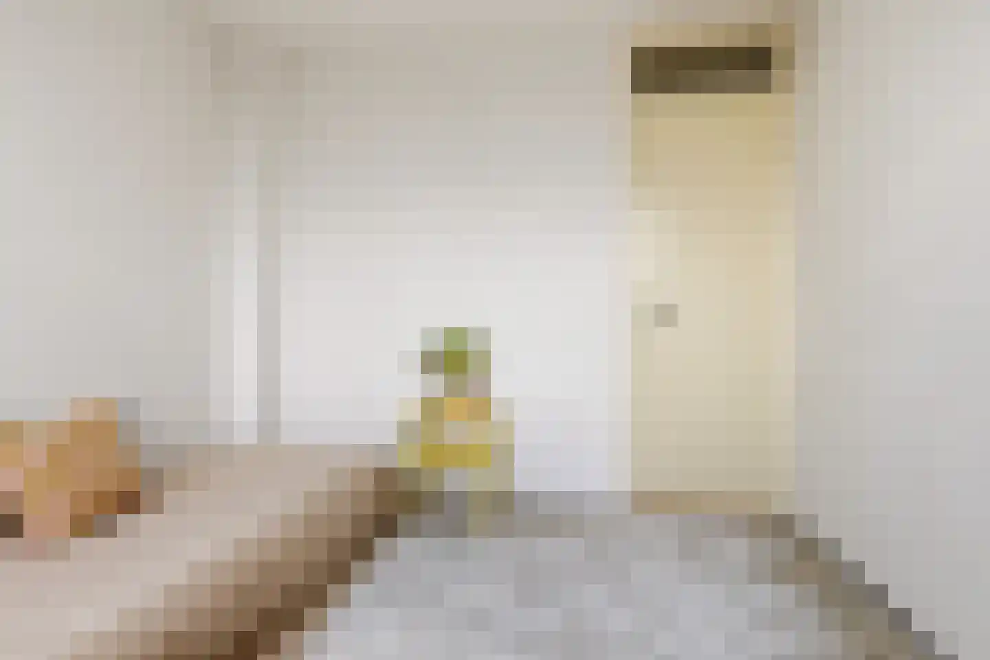 van Coevenhovenstraat 23 Heemskerk thumbnail 26