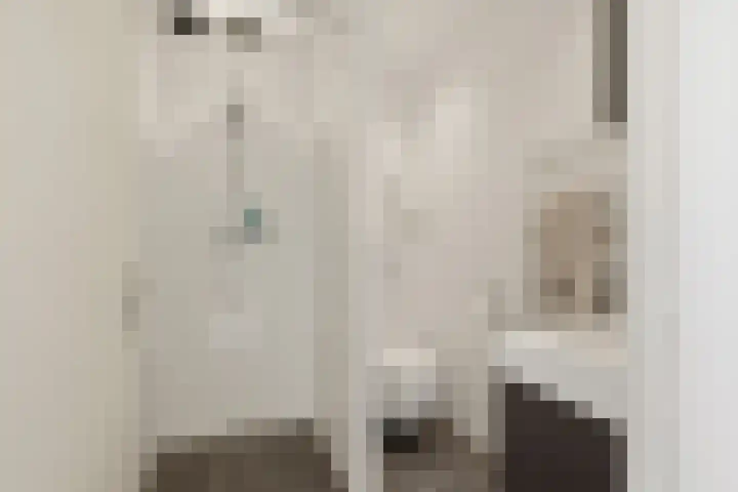 van Coevenhovenstraat 23 Heemskerk thumbnail 27
