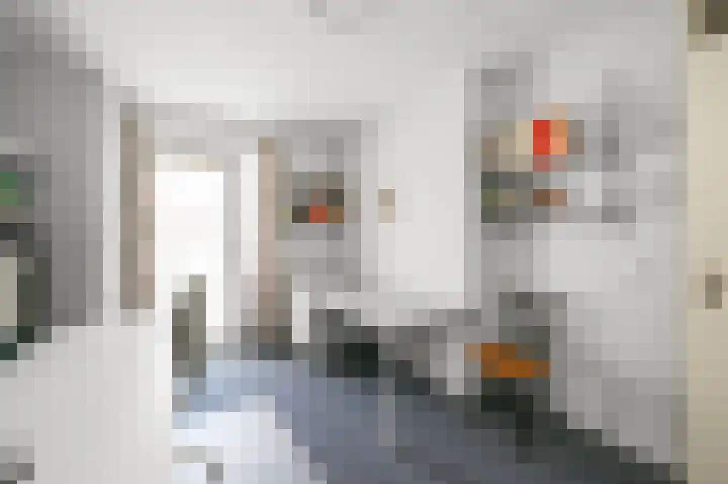 van Coevenhovenstraat 59 Heemskerk thumbnail 33