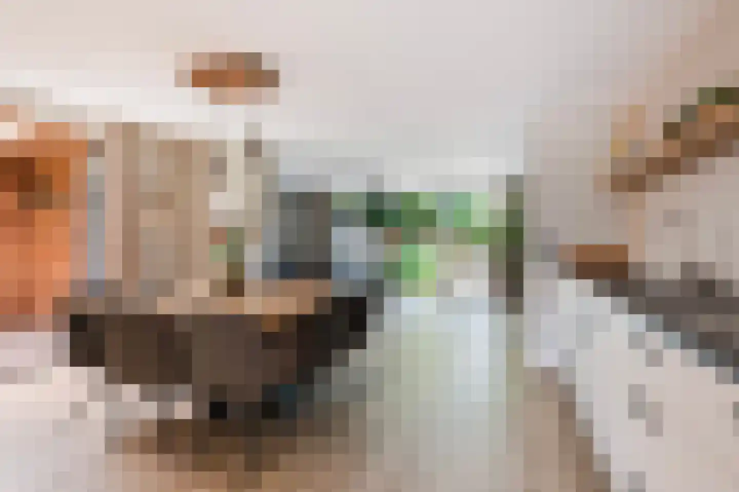 van Coeverdenstraat 1 Goor thumbnail 10