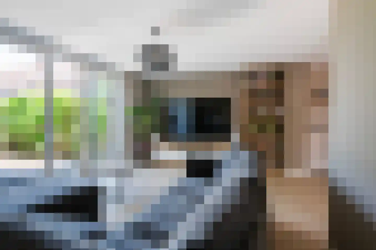 van Coeverdenstraat 1 Goor thumbnail 13