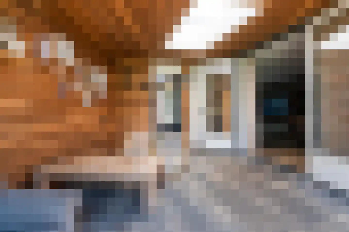van Coeverdenstraat 1 Goor thumbnail 16