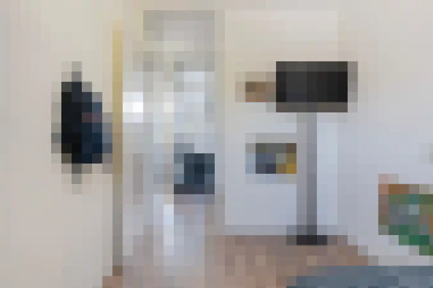 van Coeverdenstraat 1 Goor thumbnail 24