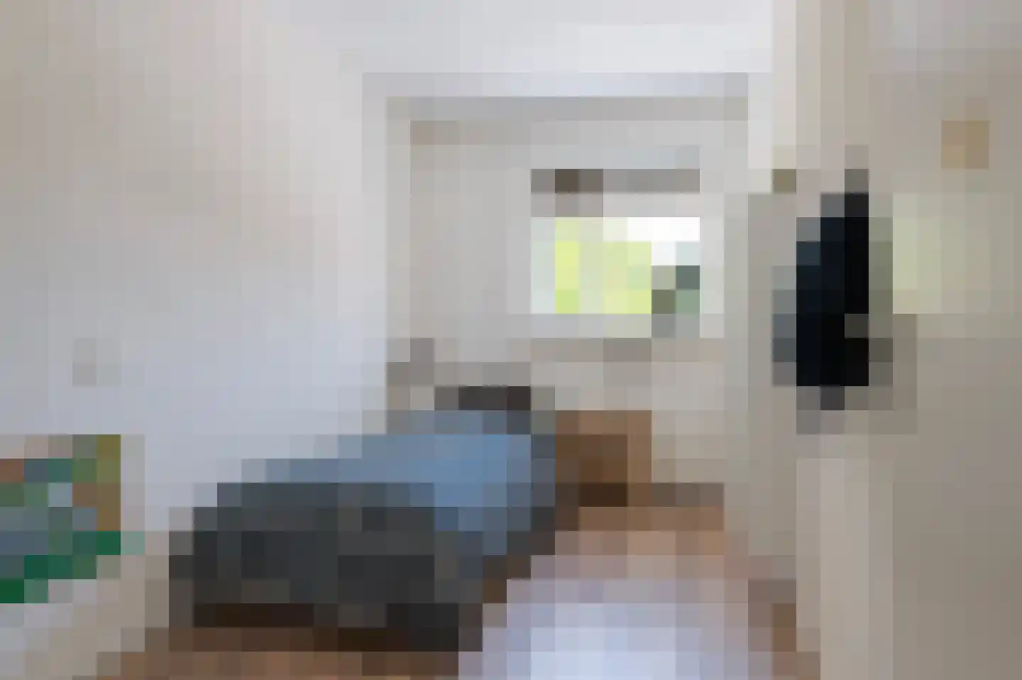 van Coeverdenstraat 1 Goor thumbnail 25