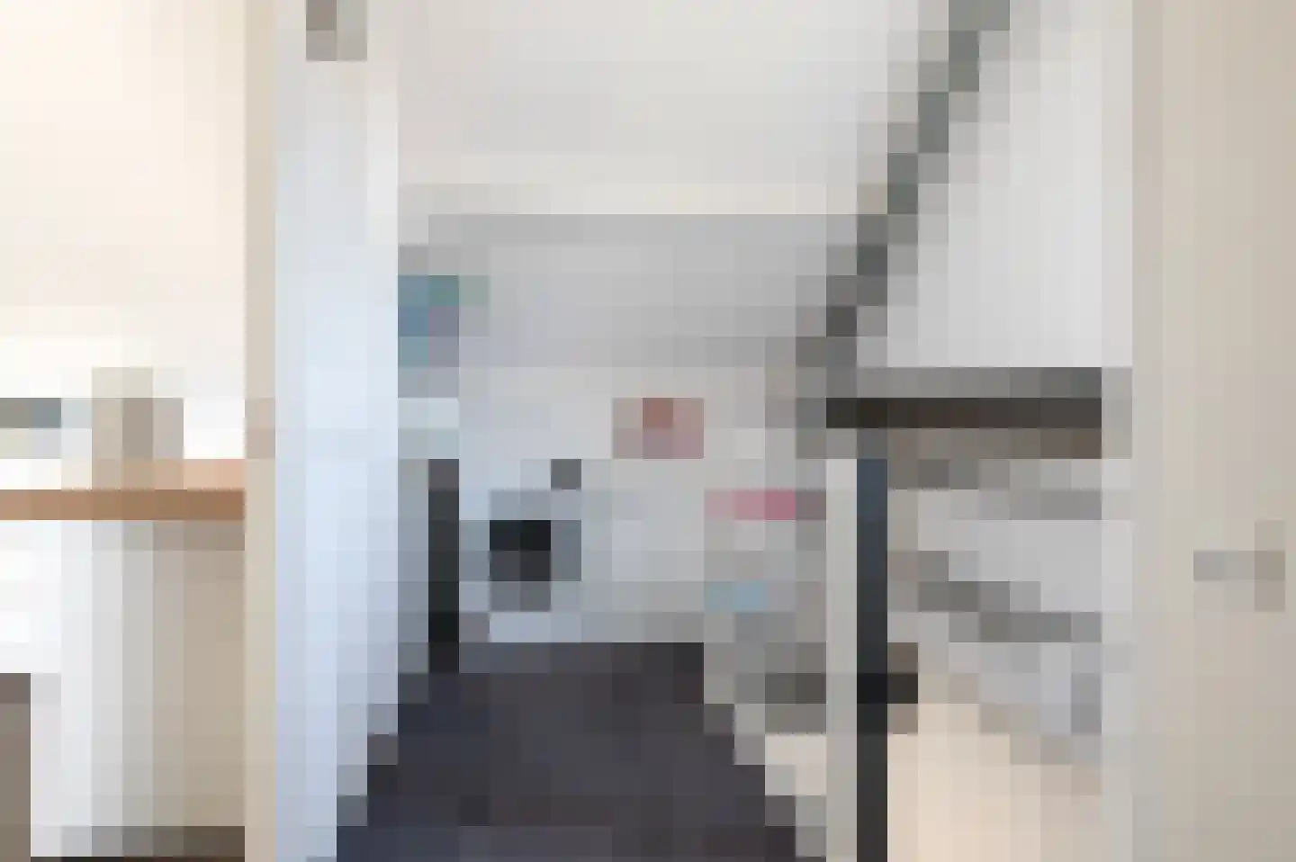 van Coeverdenstraat 1 Goor thumbnail 30