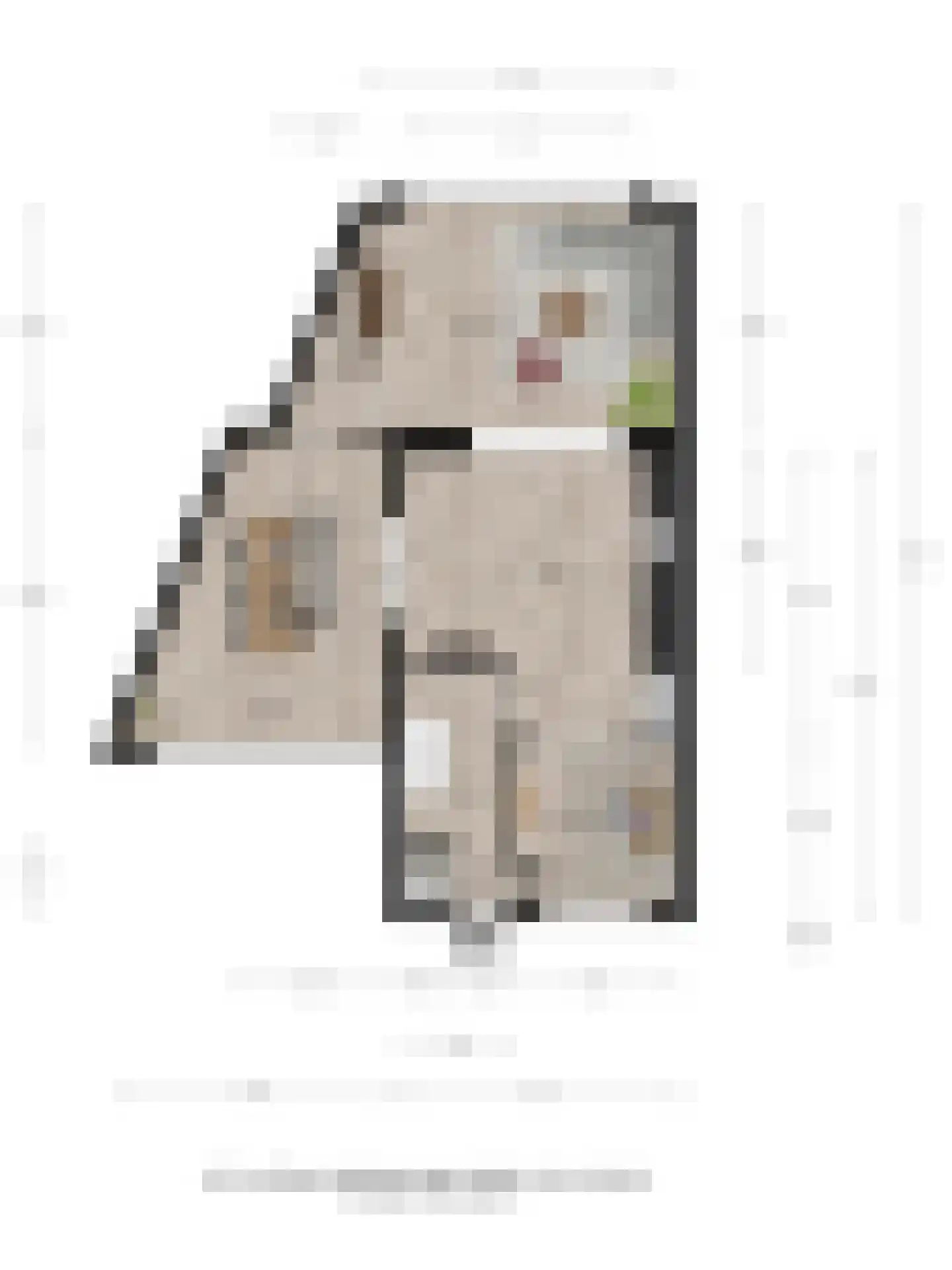 van Coeverdenstraat 1 Goor thumbnail 31