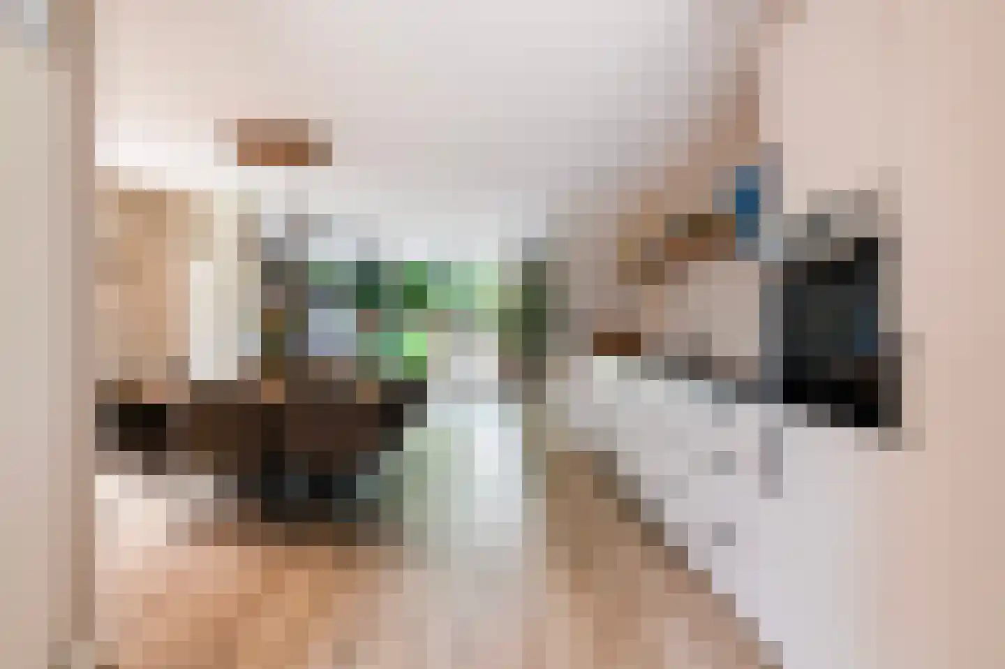 van Coeverdenstraat 1 Goor thumbnail 8