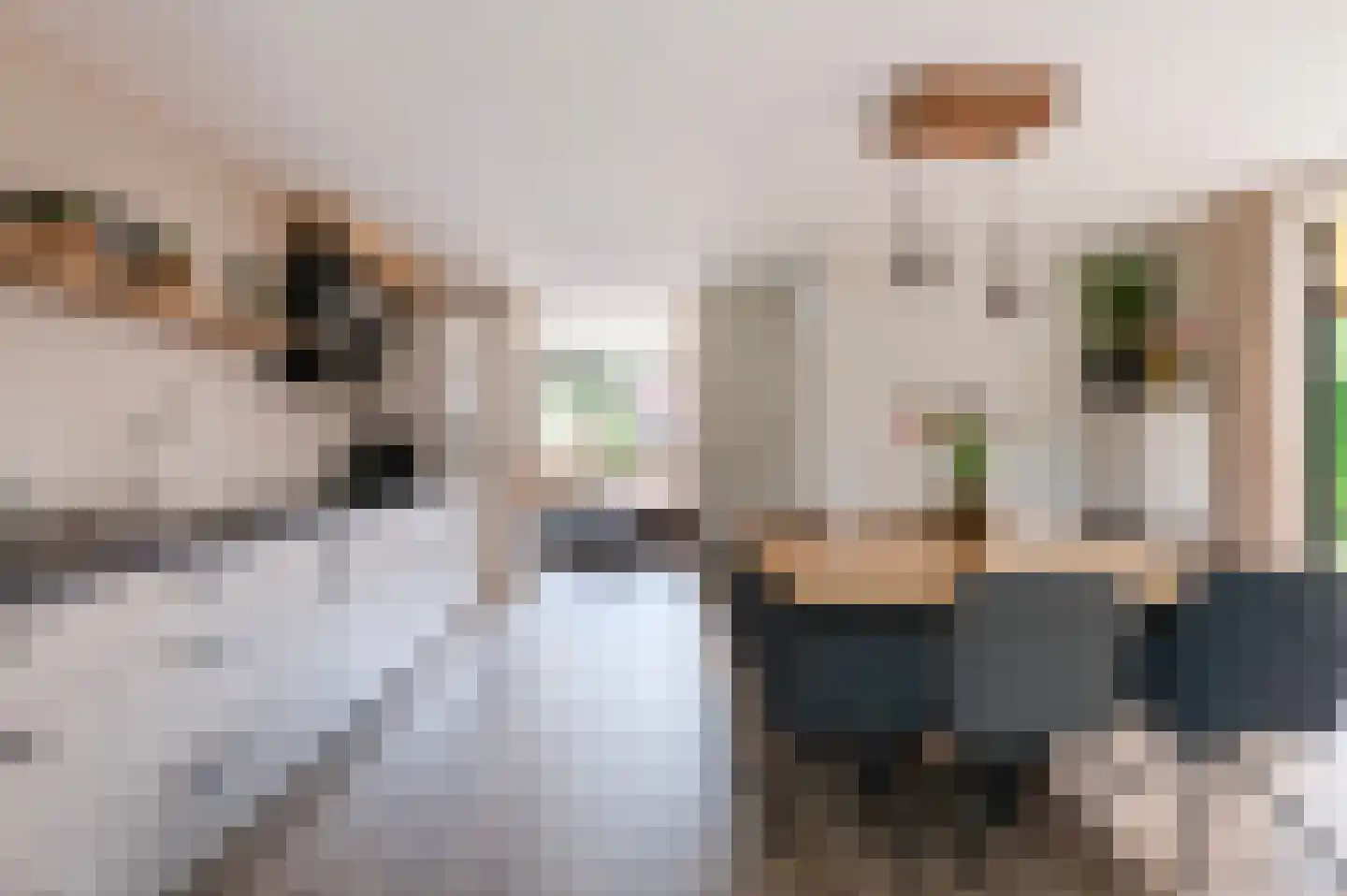van Coeverdenstraat 1 Goor thumbnail 9