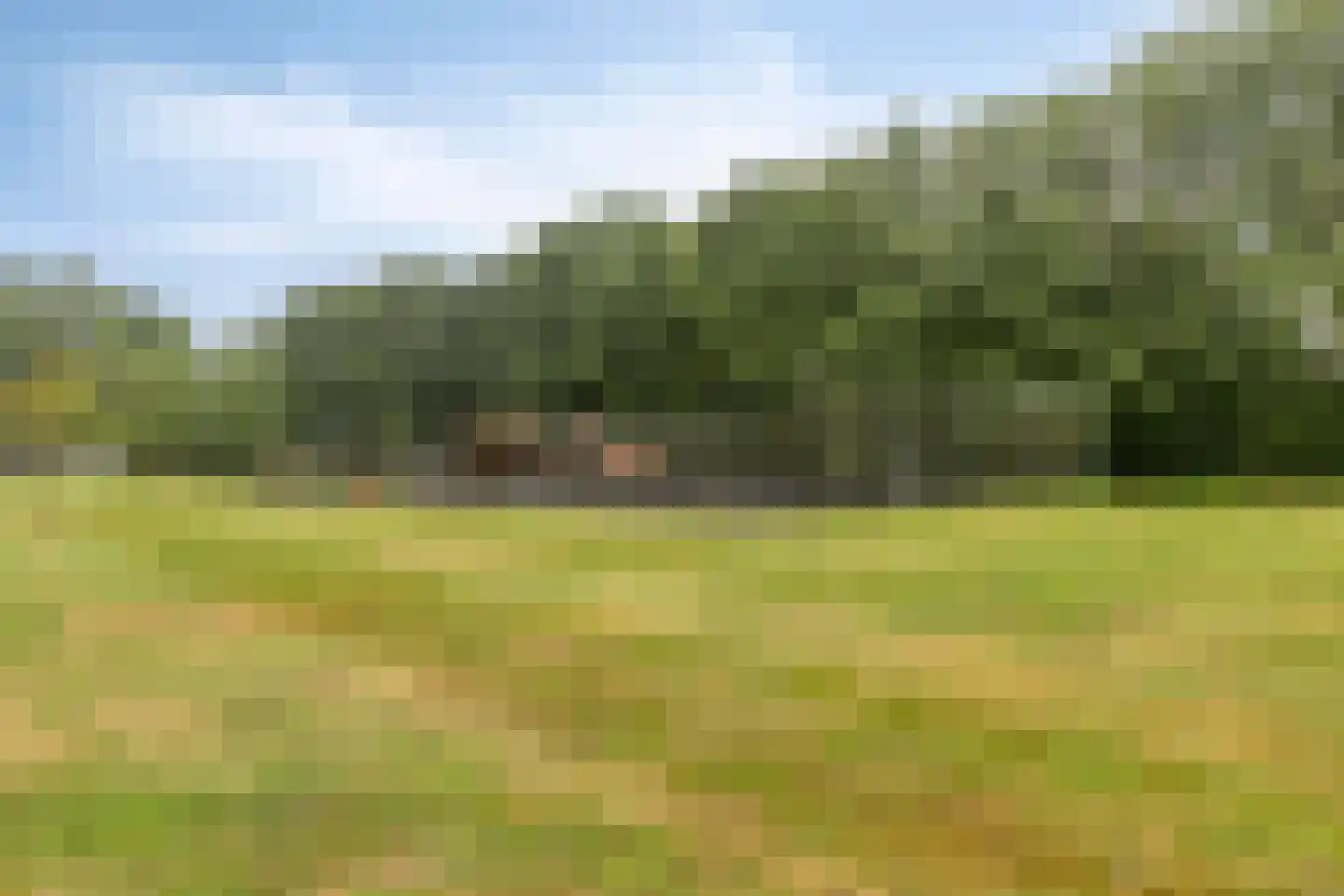 van Coeverdenstraat 2 Borculo thumbnail 32