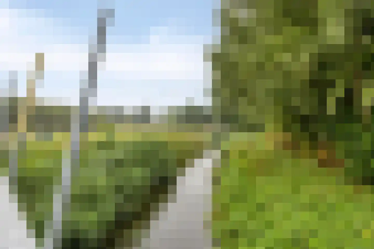 van Coeverdenstraat 2 Borculo thumbnail 33