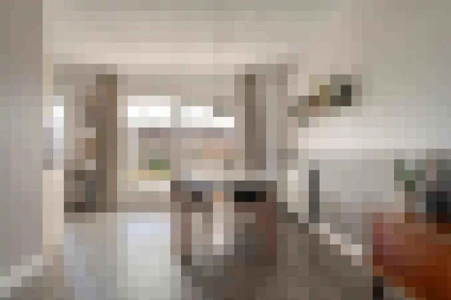 Van Coeverdenstraat 33 Hardenberg thumbnail 16