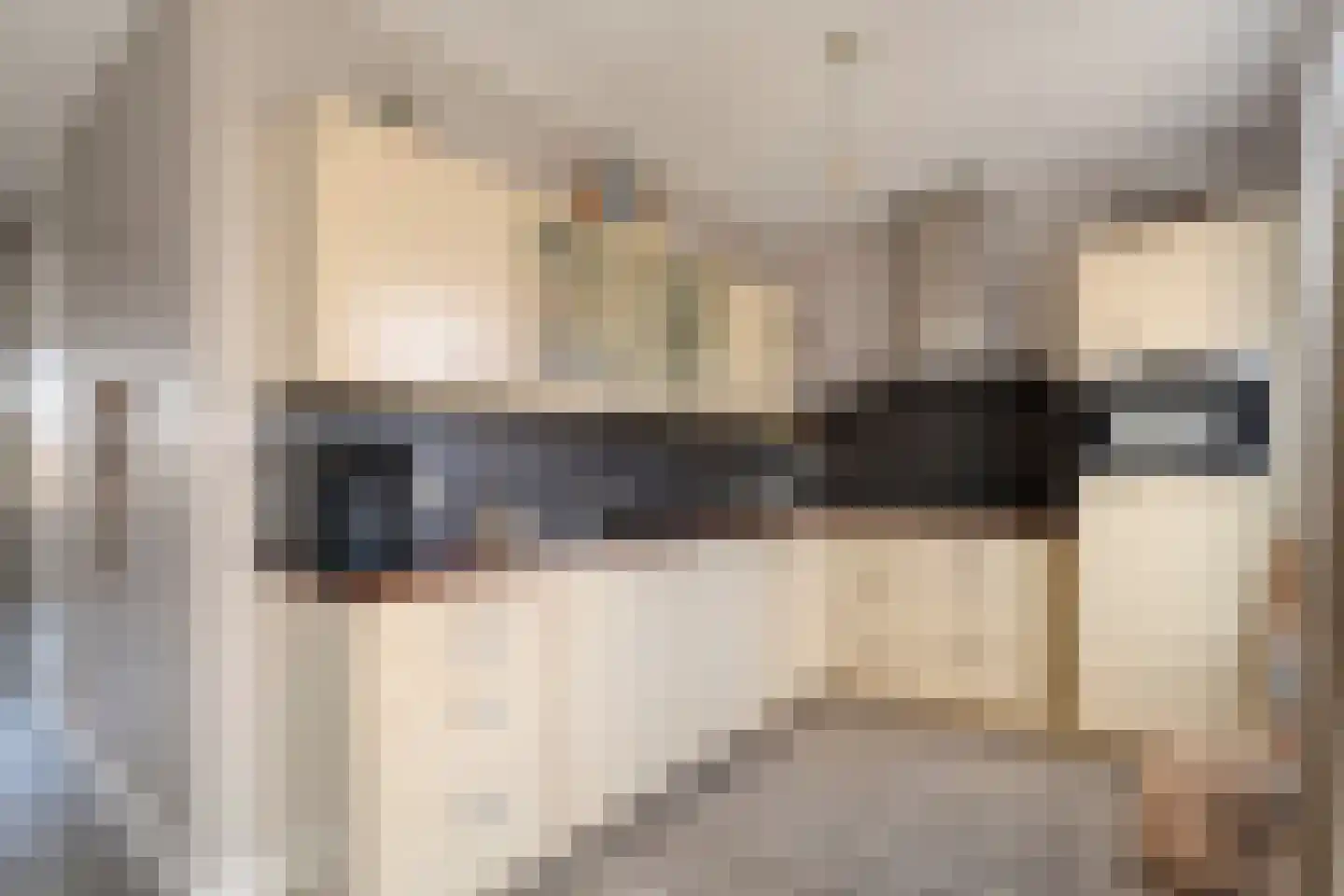 Van Coeverdenstraat 33 Hardenberg thumbnail 19