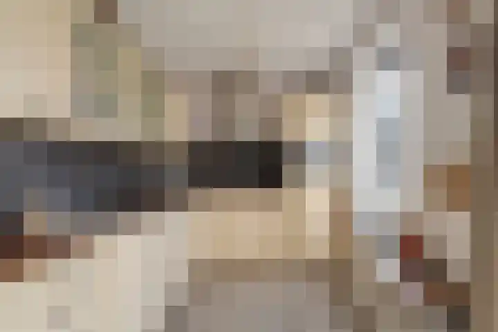 Van Coeverdenstraat 33 Hardenberg thumbnail 20