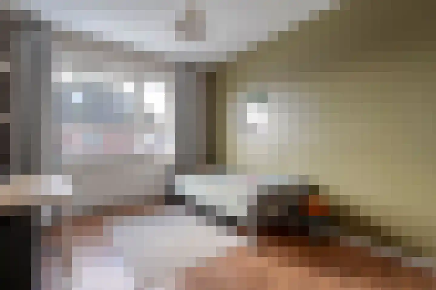 Van Coeverdenstraat 33 Hardenberg thumbnail 32