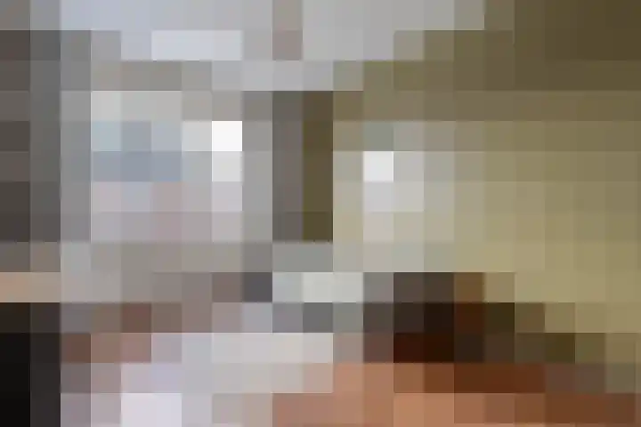 Van Coeverdenstraat 33 Hardenberg thumbnail 32