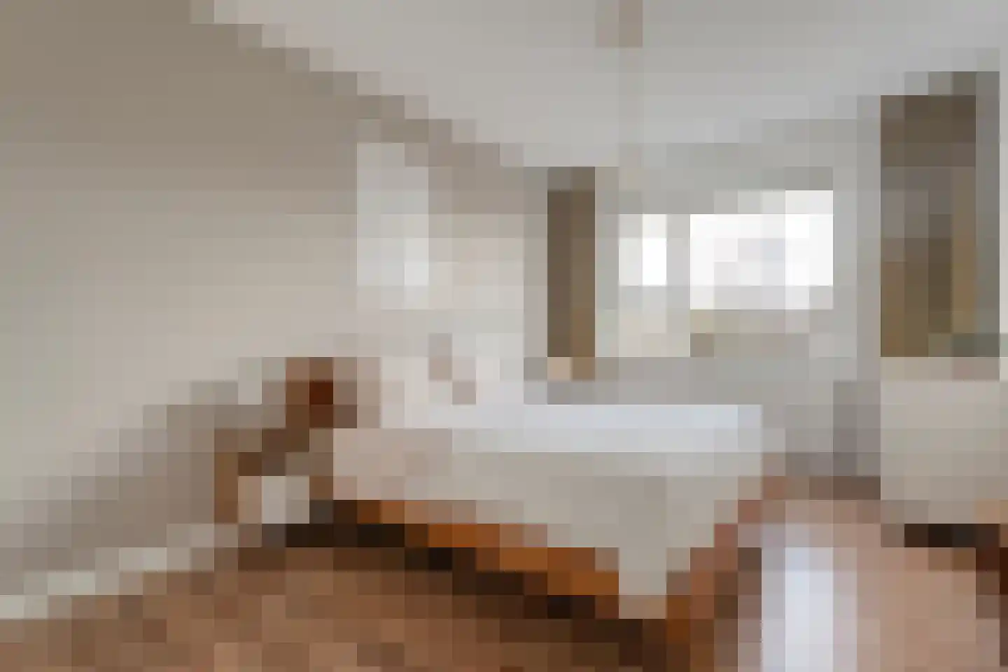 Van Coeverdenstraat 33 Hardenberg thumbnail 34