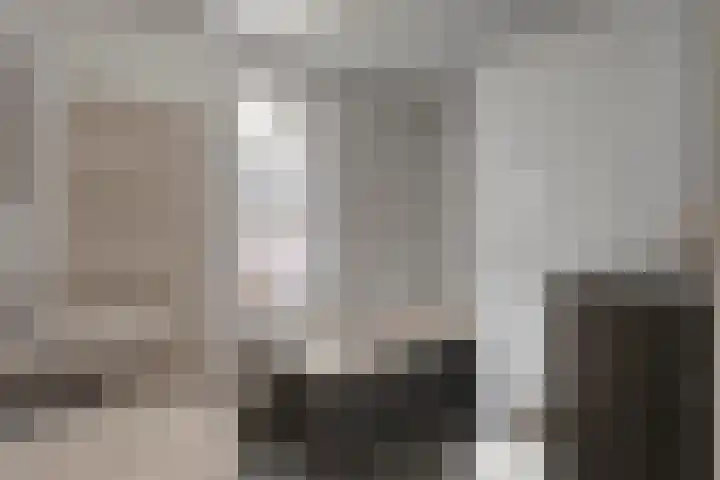 Van Coeverdenstraat 33 Hardenberg thumbnail 36