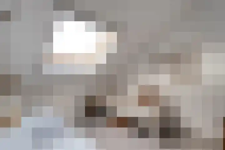 Van Coeverdenstraat 33 Hardenberg thumbnail 45