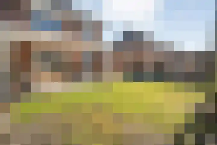 Van Coeverdenstraat 33 Hardenberg thumbnail 47